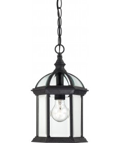 Nuvo Lighting 60/4979 Boxwood 1 Light 14" Outdoor Hanging with Clear