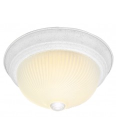 Nuvo Lighting 76/218 2 Light 13 inch Flush Mount Frosted Ribbed Swirl Glass